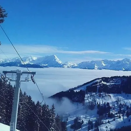Alpine Center