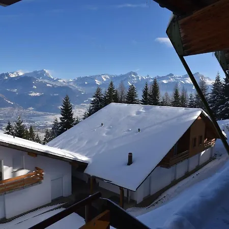 Alpine Center *