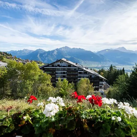 Alpine Center