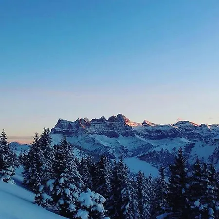 ベッド・アンド・ブレックファスト Alpine Center